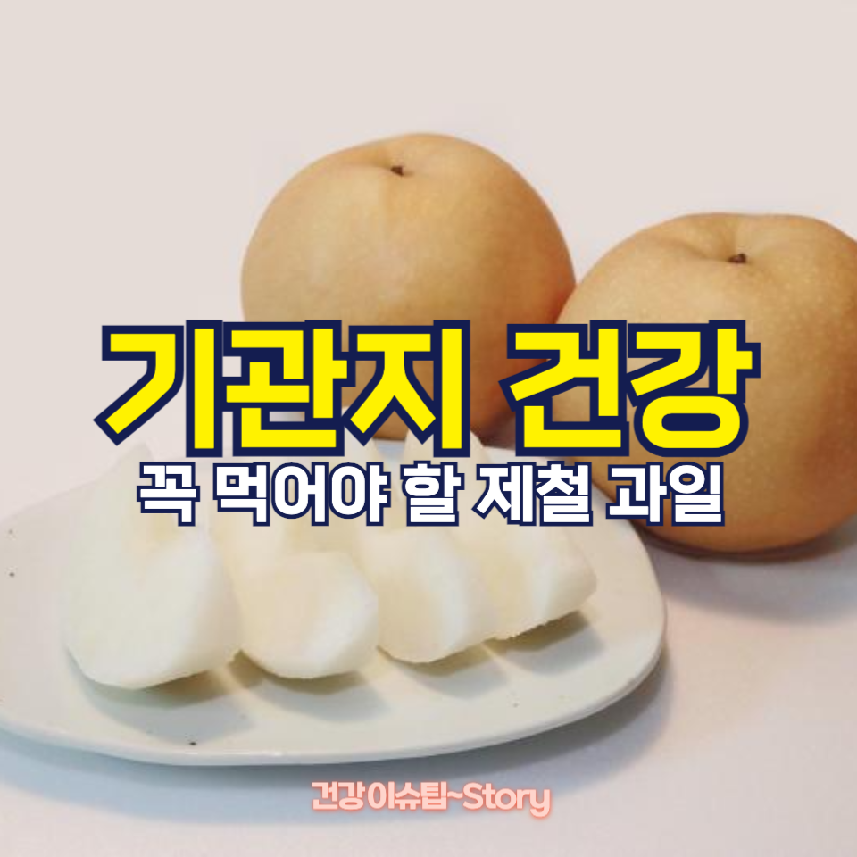 기관지 건강을 위해 꼭 먹어야 할 제철 과일