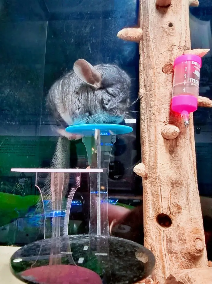 부천자연생태공원3. 부천자연생태박물관: 아이들이 좋아하는 공룡, 곤충, 물고기, 동물이 있는 곳