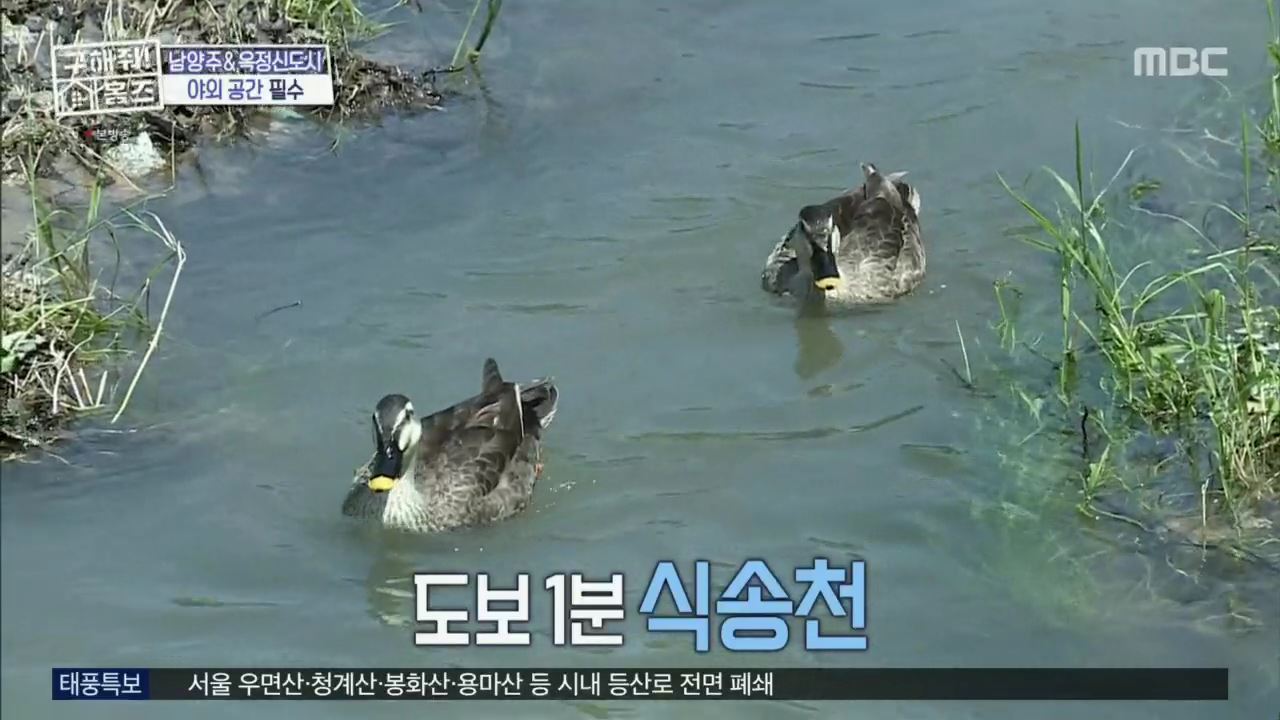 구해줘홈즈 아이브 안유진 가을 남양주시 별내동 적벽 다이브 하우스 매물 가격 및 구조 인테리어 리모델링 최종선택 소개