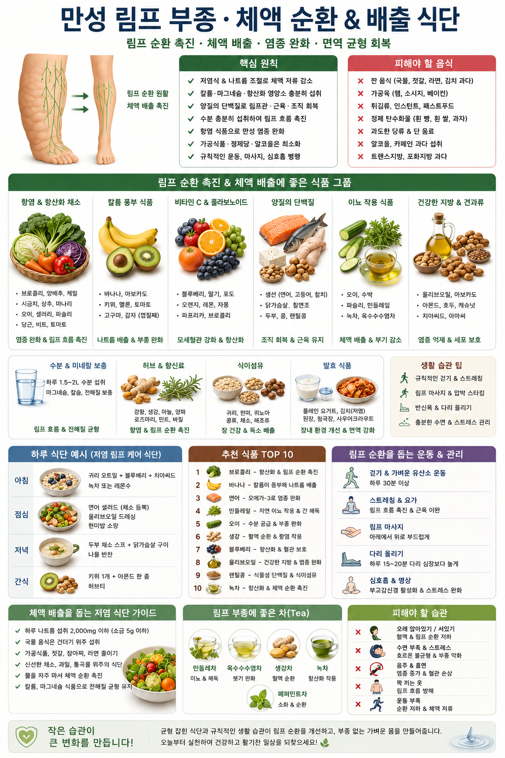 만성 림프 부종 체액 순환 배출 식단