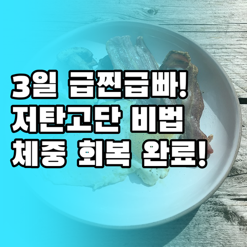 몸무게 회복을 위한 3일 저탄고단 식..