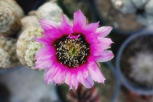 확정일자 받는 법