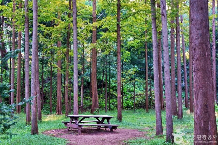 영덕 가볼만한곳 베스트 10