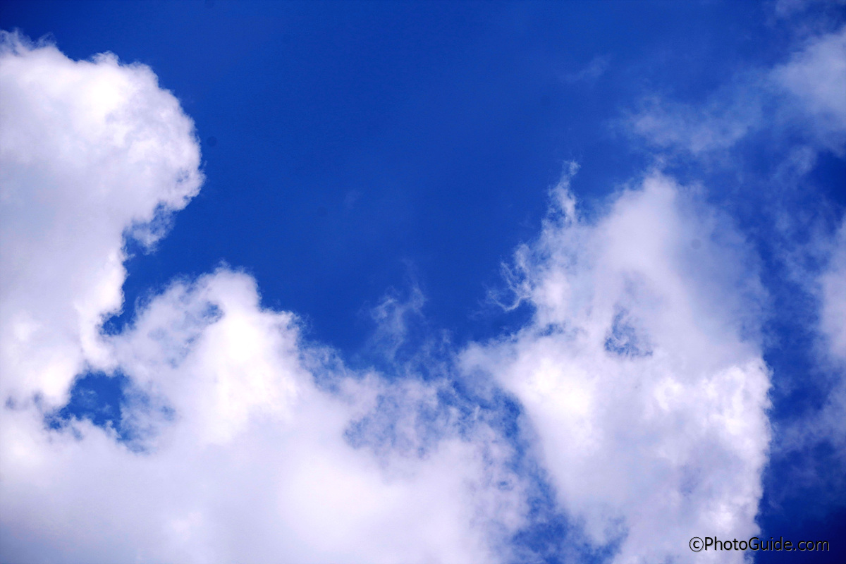 아도비-새로운-약관