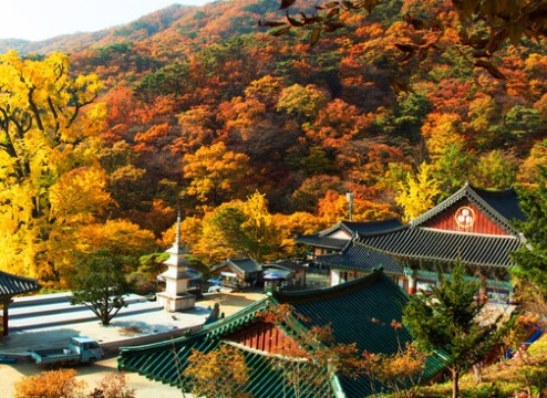 [단풍구경명소 가볼만한곳] 경기도 양평군 단풍이 아름다운 사찰 &ndash; 용문사