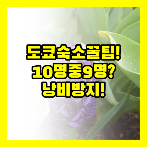 도쿄 여행자 10명 중 9명이 모르는..