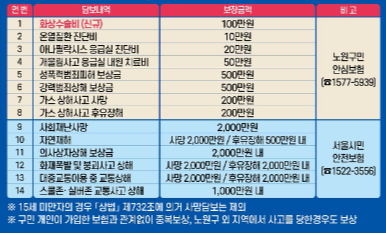 보장내용