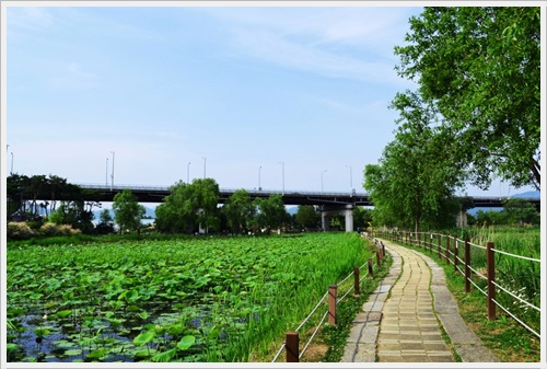 세미원