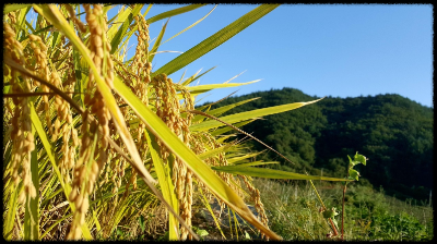 10대 스트레스 급증, 명절이 원인?
디스크립션: 주제 소개