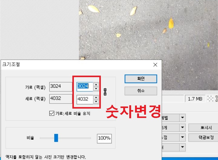 가로 세로의 픽셀 보임