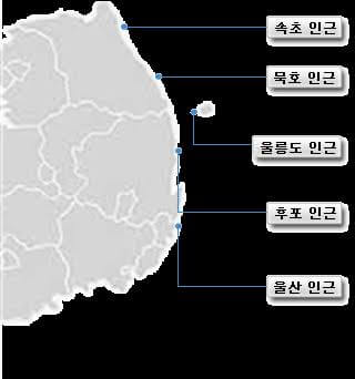 울릉군 물때