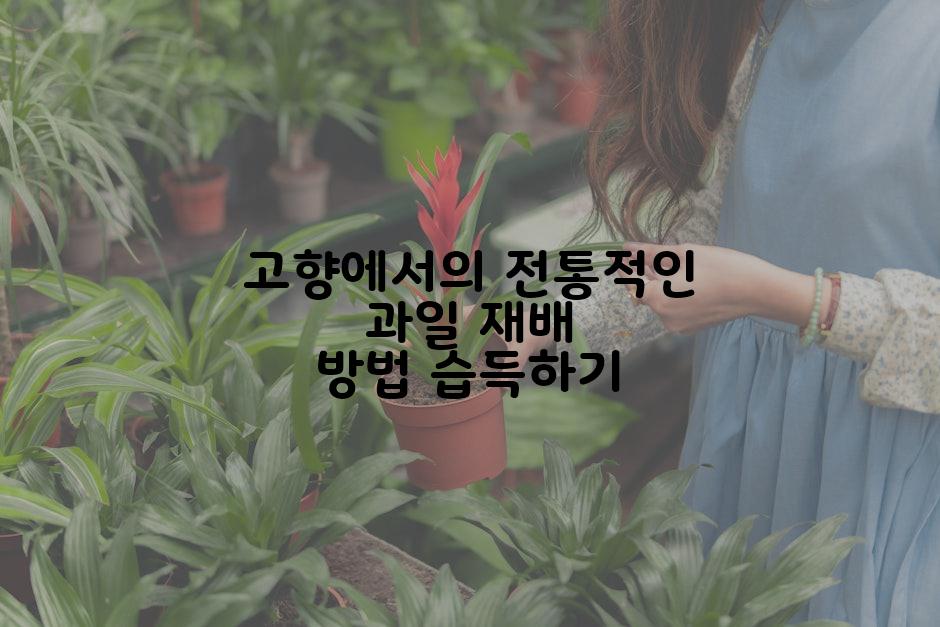 고향에서의 전통적인 과일 재배 방법 습득하기