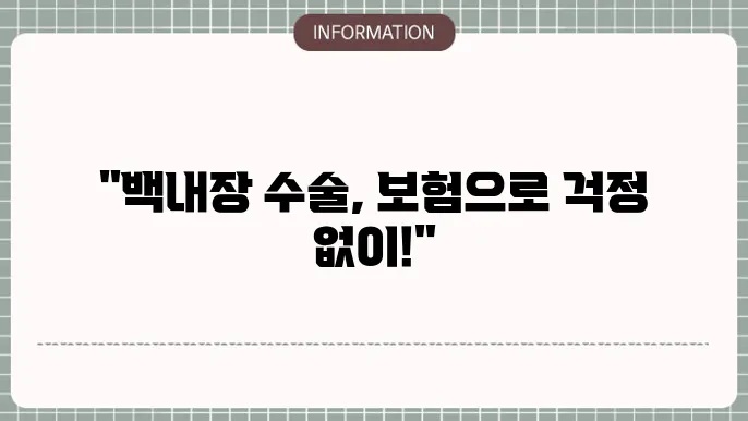 백내장 수술 실손본: