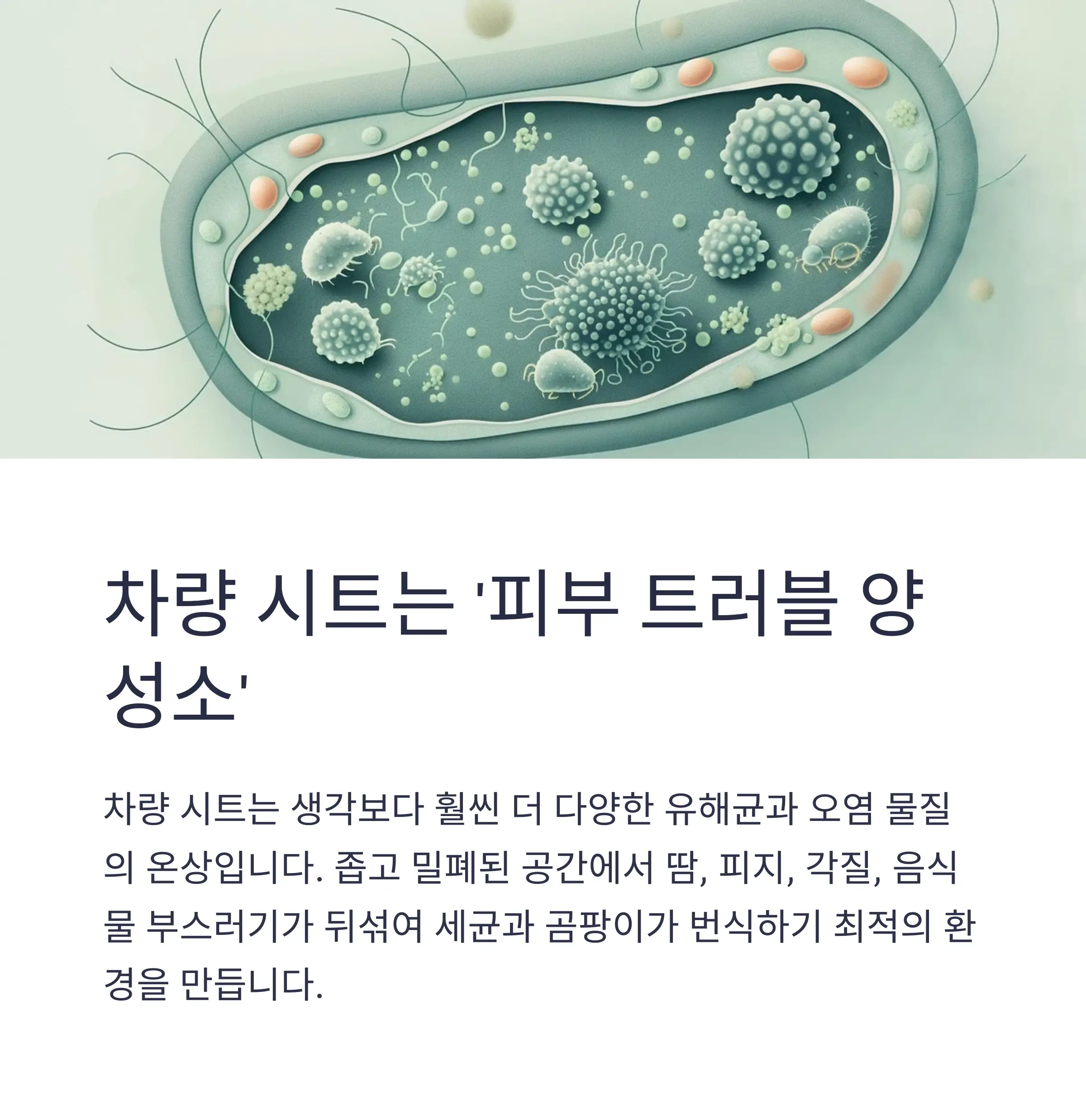 차량시트관리법