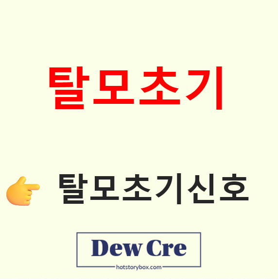 탈모 초기 신호와 원인 분석, 두피 관리법 정리