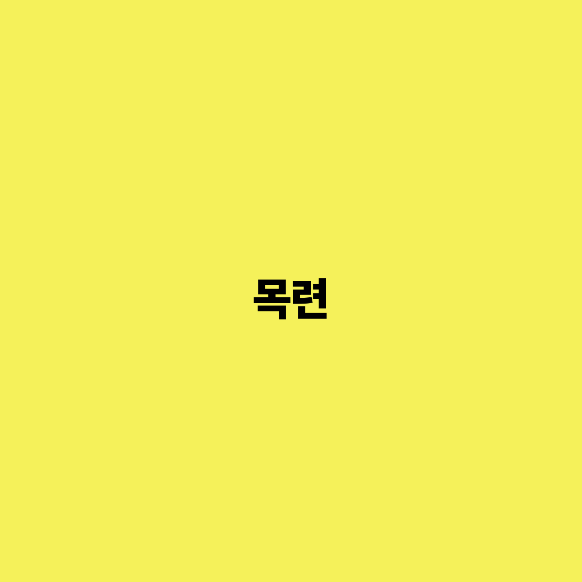 목련의 아름다움과 의미 봄의 상징