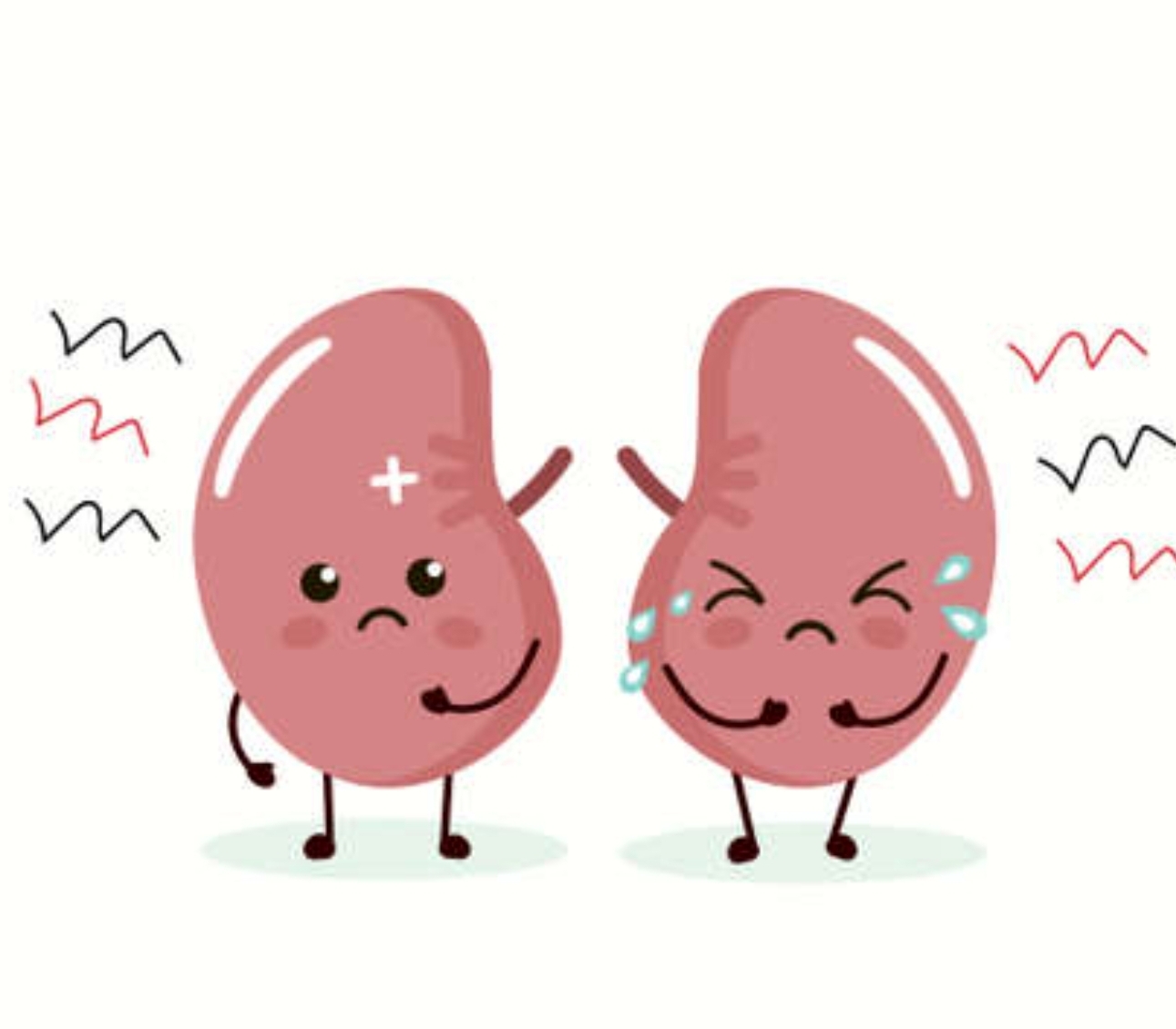 저혈압과 갑상선 질환, 부신 기능 저하와의 연관성