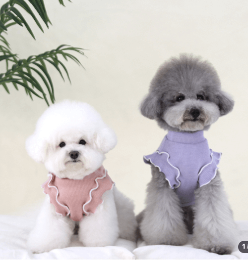 오드펫 베이직 러플 티셔츠