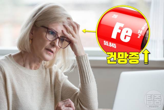 철분 부족 증상 건망증 치매