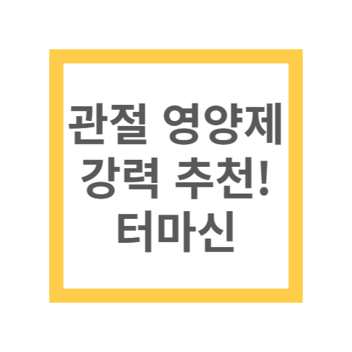 관절 영양제 추천