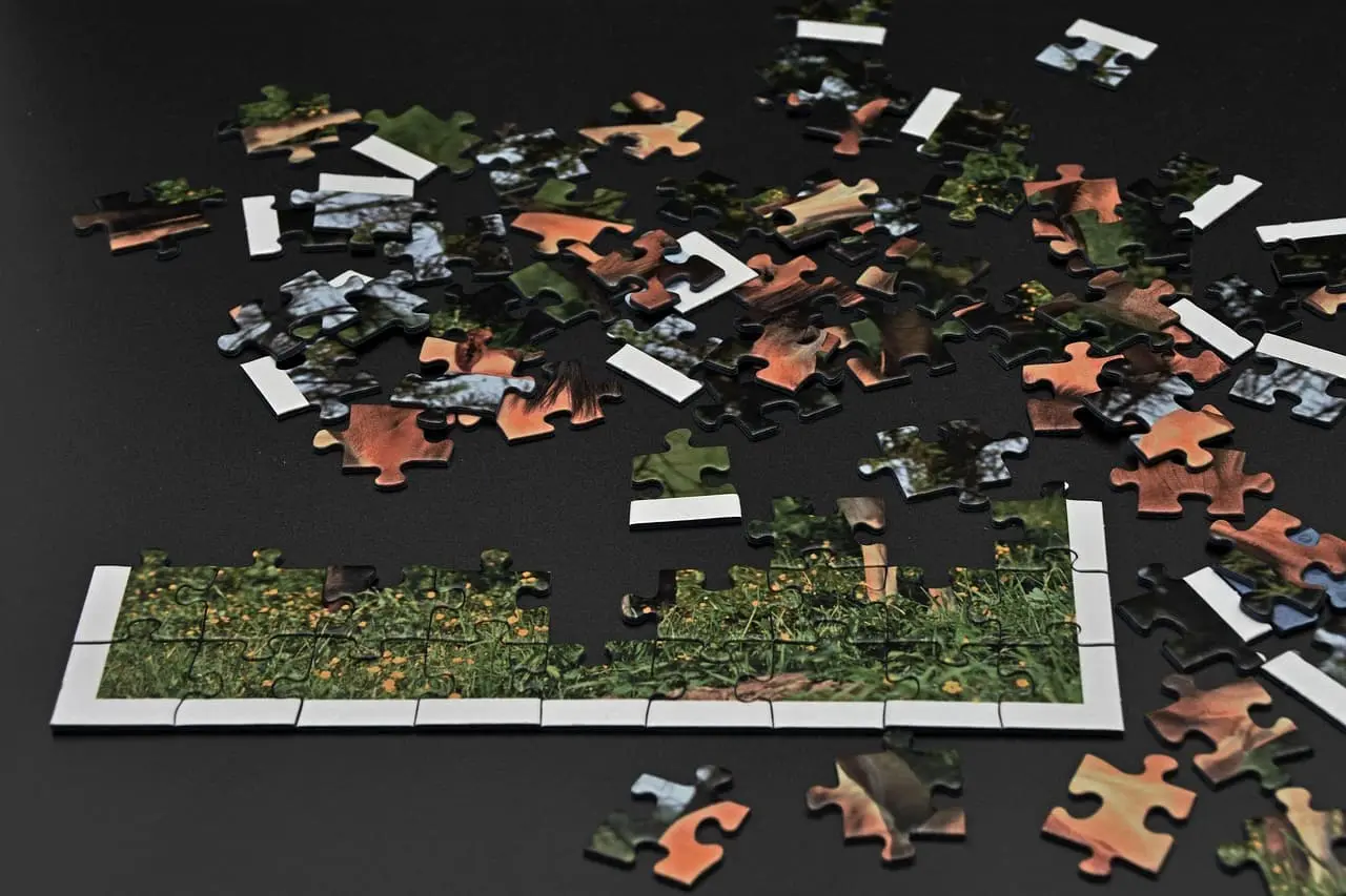 중장년층 치매 전조 증상, 놓치기 쉬운 초기 신호 5가지