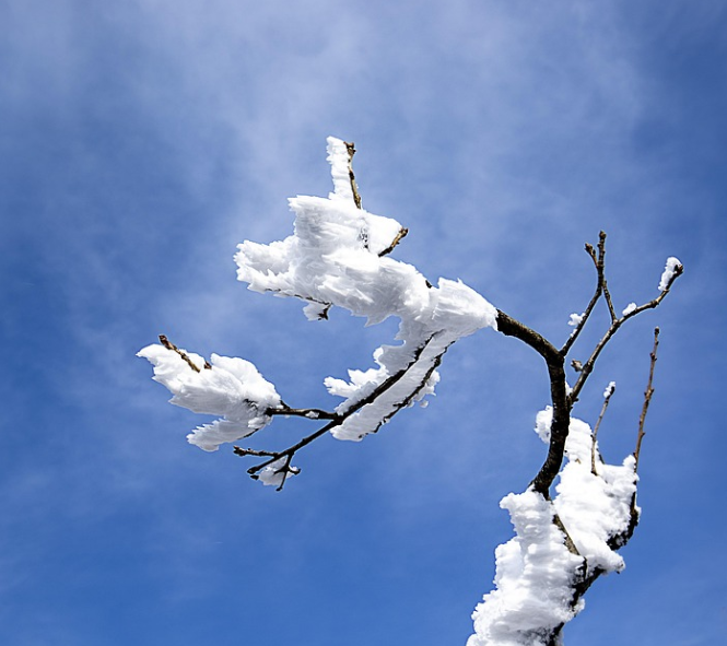 함백산 자연경관 사진