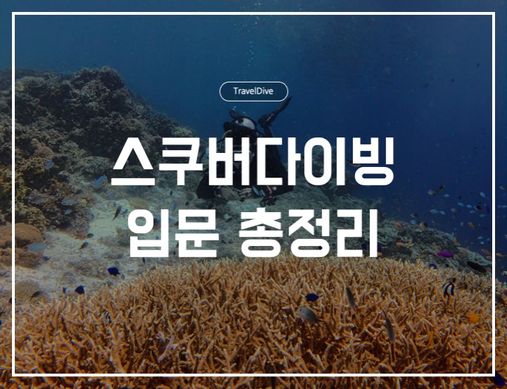 스쿠버다이빙 입문 총정리