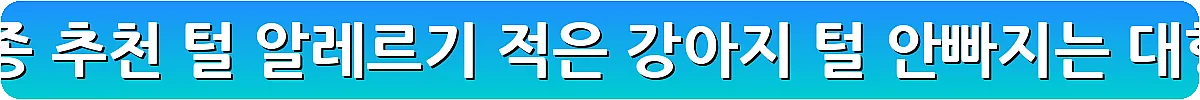 털 안 빠지는 강아지 견종 추천 털 알레르기 적은 강아지 털 안빠지는 대형견 소형견_8