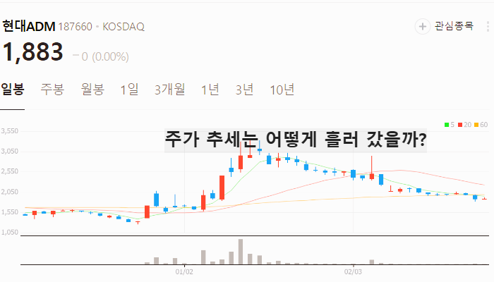 박쥐 코로나 관련주 대장주 테마주 TOP7