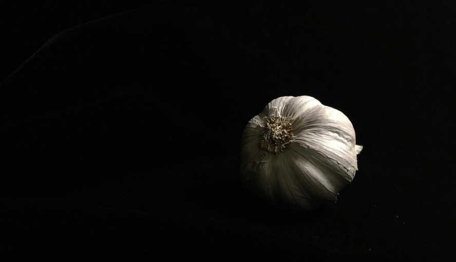 중성 지방 낮추는 방법으로 도움이 되는 검은 마늘이 한쪽이 놓여 있다