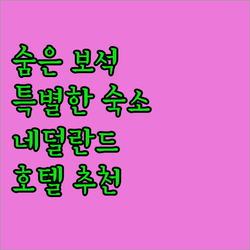 네덜란드 숨은 보석 숙소 탐험! 특별..