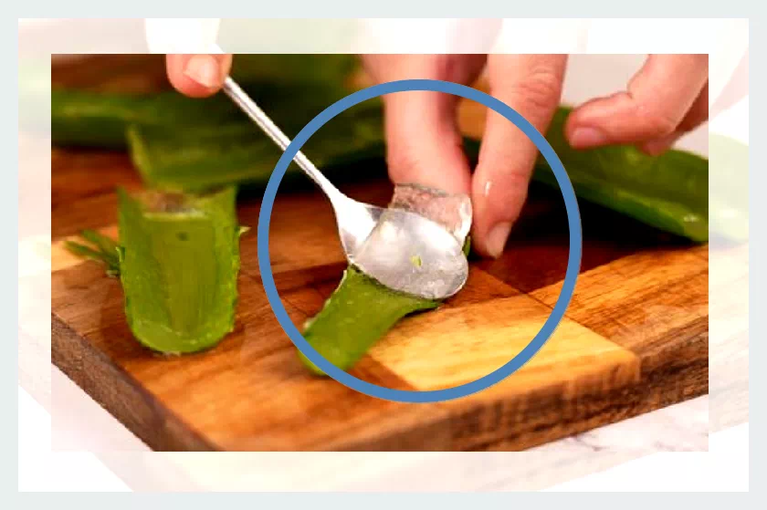 생알로에젤 분리방법