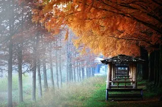 국민추천제 추천방법 2-4