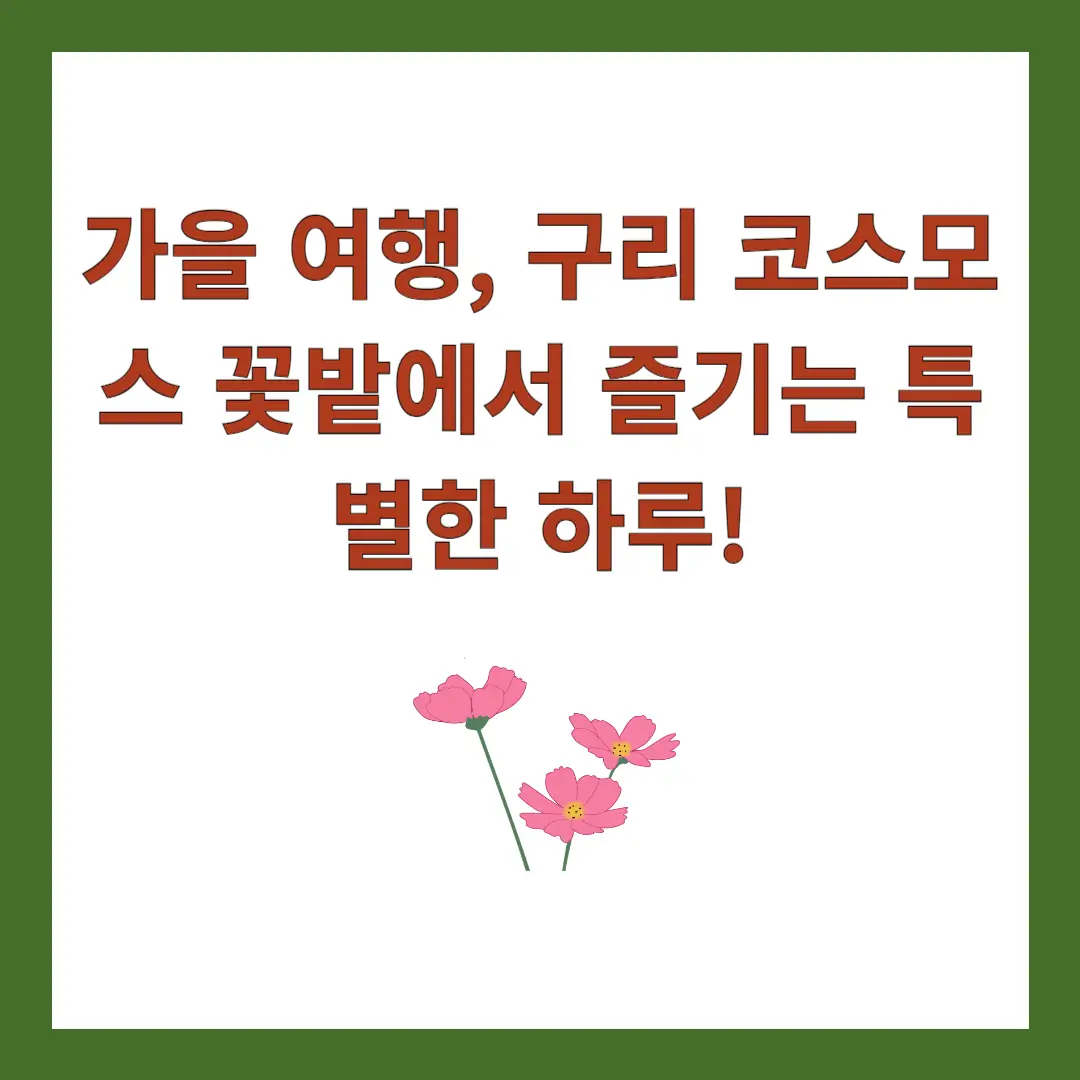 구리-코스모스-축제