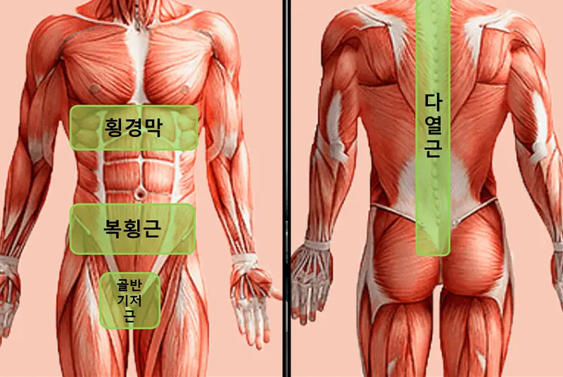 코어 무너진 사람 자세 특징 및 코어 레벨 테스트