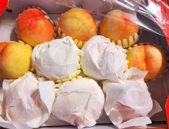 복숭아 보관방법과 싱싱하게 유지하는 팁_11