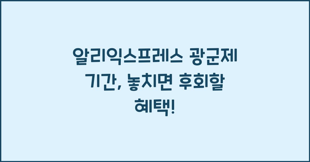 알리익스프레스 광군제 기간