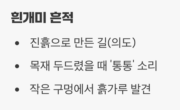 1단계: 적을 알아야 이긴다! (흰개미 흔적 찾기)