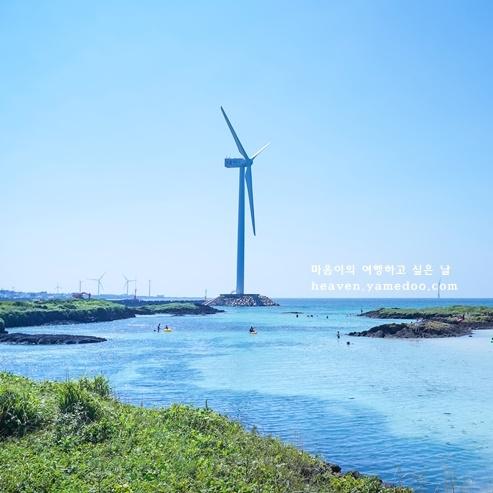 8월 제주도 가볼만한곳 10곳