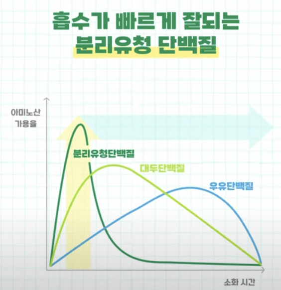 분리유청 단백질 흡수율 그래프 이미지