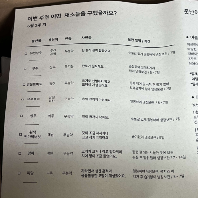어글리어스&#44; 어글리어스 후기&#44; 어글리어스 할인코드&#44; 어글리어스 단점&#44; 채소 구독&#44; 채소 보관하는 법&#44; 만가닥버섯&#44; 유럽 상추&#44; 못난이 채소&#44; 채소박스&#44; 어글리어스 싱싱마켓
