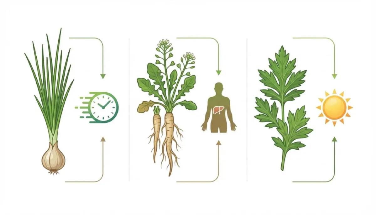 냉이, 달래, 쑥 등 봄 제철 나물 3종의 효능