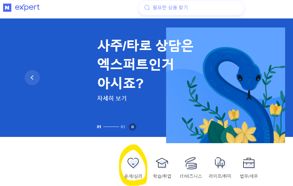 2025년 신년운세