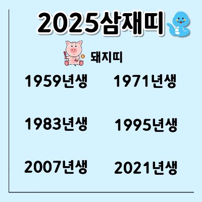 돼지띠삼재