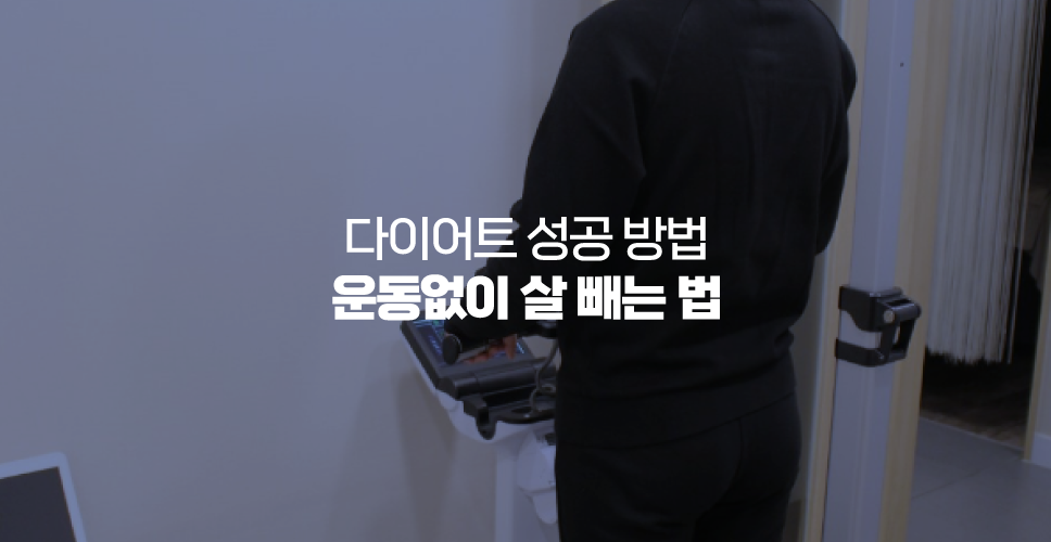 다이어트 성공 방법