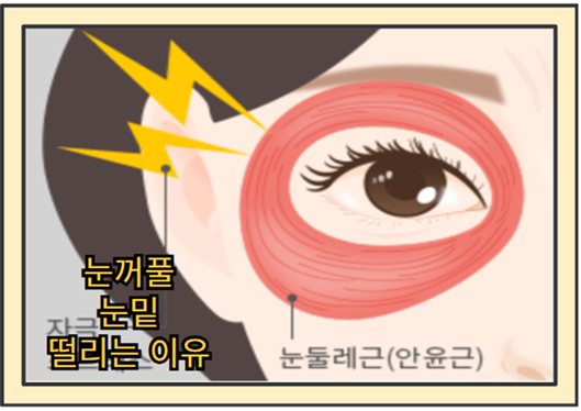눈꺼풀 또는 눈밑이 떨리는 이유