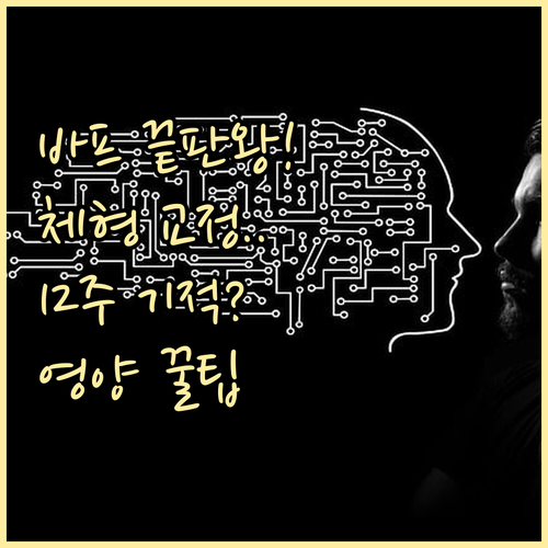 바디프로필 성공 비결: 체형교정과 1..