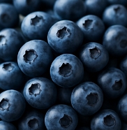 블루베리 효능