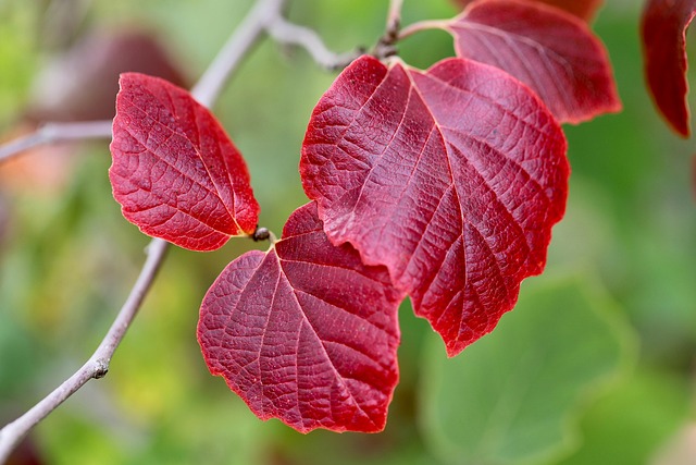 화담숲 주차장 및 셔틀버스 꿀팁 (위치 &middot; 요금 &middot; 시간표 포함)