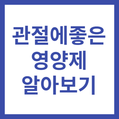 관절에좋은영양제알아보기